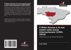 Обложка Il Mato Grosso e le sue azioni sulla scena internazionale (1995-2010)