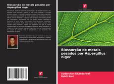 Обложка Biossorção de metais pesados por Aspergillus niger