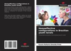 Buchcover von Homoaffective configurations in Brazilian youth novels