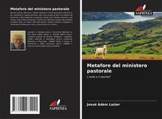 Bookcover of Metafore del ministero pastorale