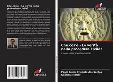 Bookcover of Che cos'è - La verità nella procedura civile?