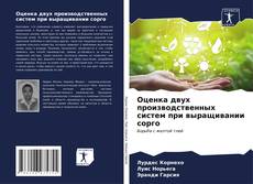 Buchcover von Оценка двух производственных систем при выращивании сорго