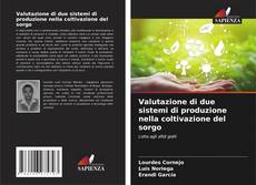 Buchcover von Valutazione di due sistemi di produzione nella coltivazione del sorgo