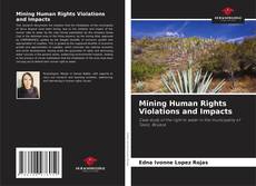 Mining Human Rights Violations and Impacts kitap kapağı
