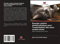 Portada del libro de Énergie solaire photovoltaïque pour l'exploitation des eaux souterraines
