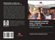 Méthodologie modèle pour l'élaboration de projets de vie kitap kapağı