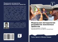 Bookcover of Модельная методология разработки жизненных проектов