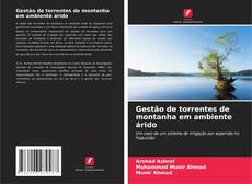 Gestão de torrentes de montanha em ambiente árido的封面