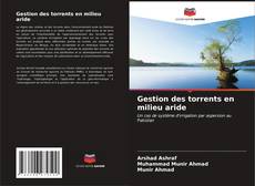 Bookcover of Gestion des torrents en milieu aride