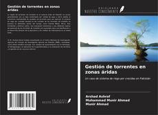 Bookcover of Gestión de torrentes en zonas áridas