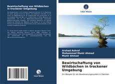 Capa do livro de Bewirtschaftung von Wildbächen in trockener Umgebung 