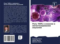 Роль TAMs в инвазии и метастазировании опухолей kitap kapağı