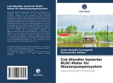 Cuk-Wandler basierter BLDC-Motor für Wasserpumpensystem的封面