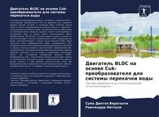 Portada del libro de Двигатель BLDC на основе Cuk-преобразователя для системы перекачки воды