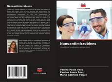 Capa do livro de Nanoantimicrobiens 