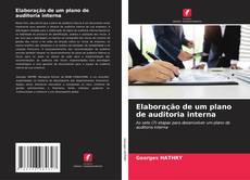 Elaboração de um plano de auditoria interna的封面