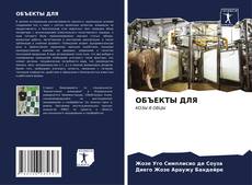 Bookcover of ОБЪЕКТЫ ДЛЯ