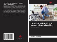 Portada del libro de Caregiver overload of a patient with a disability