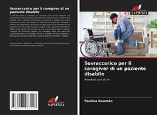 Bookcover of Sovraccarico per il caregiver di un paziente disabile