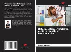 Buchcover von Determination of Ehrlichia canis in the city of Iquique, Chile