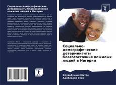 Bookcover of Социально-демографические детерминанты благосостояния пожилых людей в Нигерии