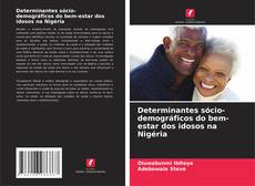 Capa do livro de Determinantes sócio-demográficos do bem-estar dos idosos na Nigéria 