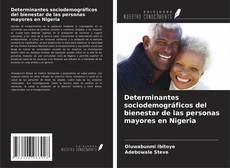 Portada del libro de Determinantes sociodemográficos del bienestar de las personas mayores en Nigeria