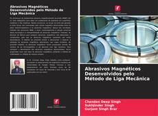 Buchcover von Abrasivos Magnéticos Desenvolvidos pelo Método de Liga Mecânica