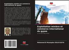 Bookcover of Exploitation minière et commerce international du gypse