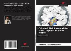 Portada del libro de Criminal Risk Law and the Final Disposal of Solid Waste