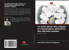 Bookcover of Le droit pénal des risques et l'élimination définitive des déchets solides