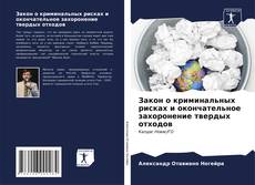 Buchcover von Закон о криминальных рисках и окончательное захоронение твердых отходов