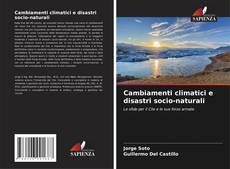 Обложка Cambiamenti climatici e disastri socio-naturali