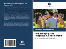 Buchcover von Die pädagogische Diagnose für Teamarbeit