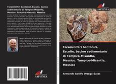 Buchcover von Foraminiferi bentonici, Escolin, bacino sedimentario di Tampico-Misantla, Messico. Tampico-Misantla, Messico