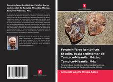 Portada del libro de Foraminíferos bentónicos, Escolin, bacia sedimentar de Tampico-Misantla, México. Tampico-Misantla, Méx