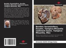Portada del libro de Benthic foraminifera, Escolin, Tampico-Misantla sediment basin. Tampico-Misantla, Méx