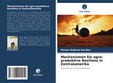 Capa do livro de Mechanismen für agro-produktive Resilienz in Zentralamerika 