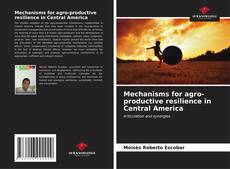 Portada del libro de Mechanisms for agro-productive resilience in Central America