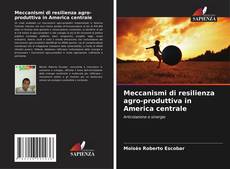 Portada del libro de Meccanismi di resilienza agro-produttiva in America centrale