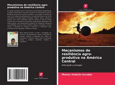 Copertina di Mecanismos de resiliência agro-produtiva na América Central