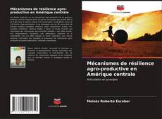 Buchcover von Mécanismes de résilience agro-productive en Amérique centrale