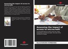 Buchcover von Assessing the impact of access to microcredit