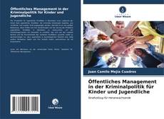 Portada del libro de Öffentliches Management in der Kriminalpolitik für Kinder und Jugendliche