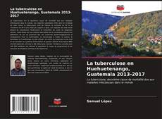 Bookcover of La tuberculose en Huehuetenango, Guatemala 2013-2017