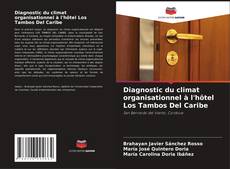 Buchcover von Diagnostic du climat organisationnel à l'hôtel Los Tambos Del Caribe