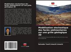 Bookcover of Modélisation stochastique des faciès sédimentaires sur une grille géologique 3D