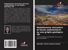 Capa do livro de Modellazione stocastica di facies sedimentarie su una griglia geologica 3D 