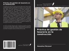 Buchcover von Práctica de gestión de tesorería en la construcción