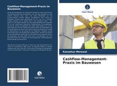 Couverture de Cashflow-Management-Praxis im Bauwesen